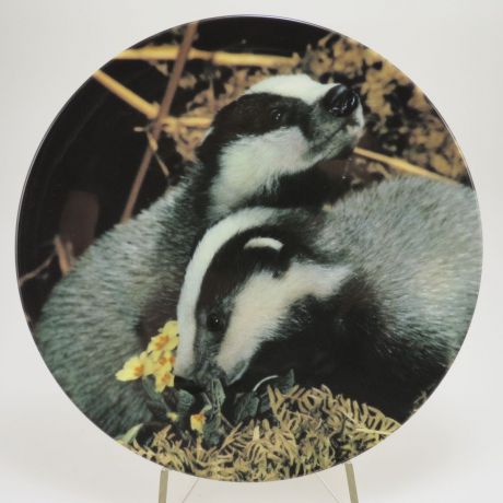 Декоративная коллекционная тарелка "Наши маленькие лесные друзья: Барсуки. Игра для двоих". Фарфор, деколь. Великобритания, Royal Doulton, 1994