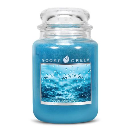 Свеча ароматизированная Goose Creek ES24621