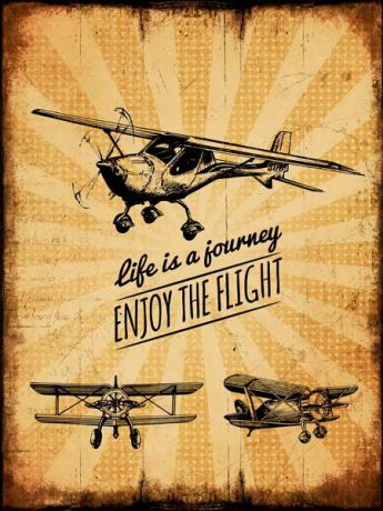 Картина Экорамка ENJOY THE FLIGHT 70x90 см, Холст