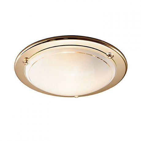 Настенно-потолочный светильник Sonex 215, золотой