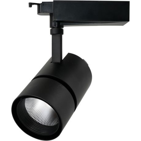 Настенно-потолочный светильник Arte Lamp A2450PL-1BK, черный
