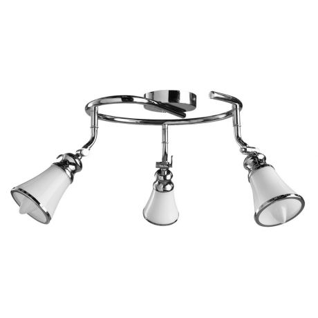 Настенно-потолочный светильник Arte Lamp A9231PL-3CC, серый металлик