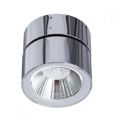 Настенно-потолочный светильник Divinare 1295/02 PL-1, серый металлик