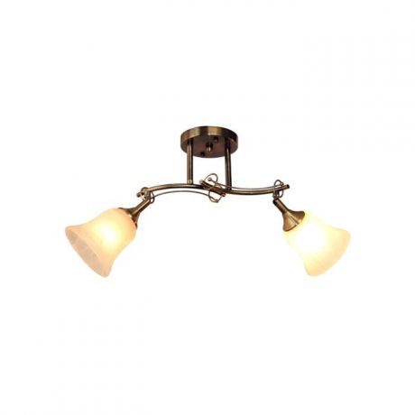 Настенно-потолочный светильник Idlamp 851/2PF-Oldbronze, бронза