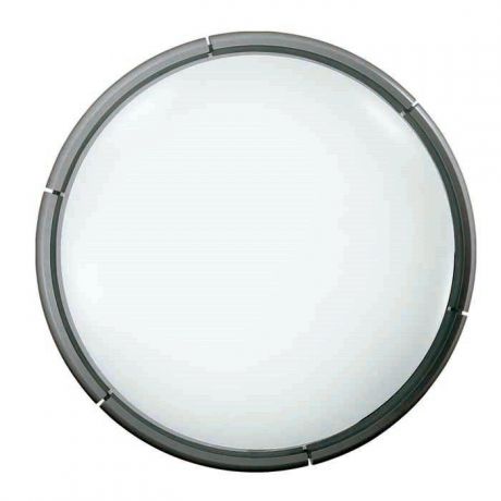 Настенно-потолочный светильник Sonex 2028/C, белый