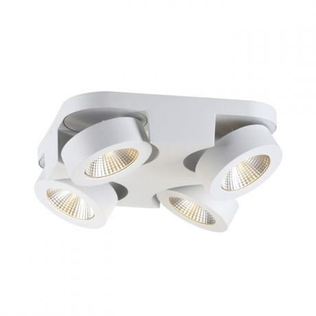 Настенно-потолочный светильник Odeon Light 3538/4LC, белый
