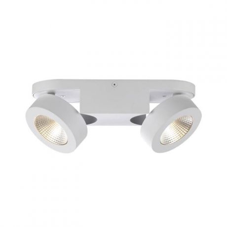 Настенно-потолочный светильник Odeon Light 3538/2LC, белый