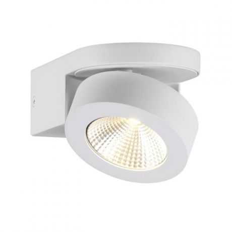 Настенно-потолочный светильник Odeon Light 3538/1WL, белый