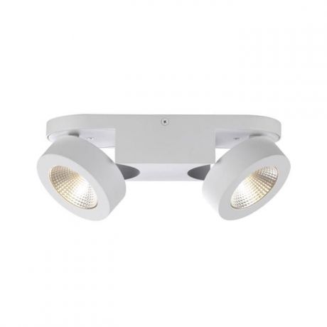 Настенно-потолочный светильник Odeon Light 3538/2WL, белый