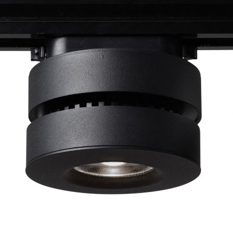 Настенно-потолочный светильник Arte Lamp A2508PL-1BK, черный