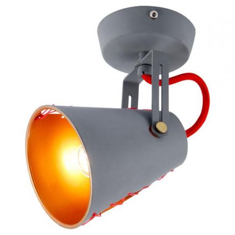 Настенно-потолочный светильник Lussole LSP-8020, серый