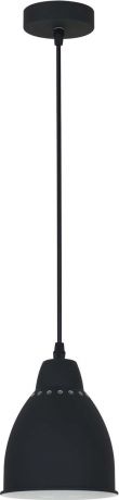 Светильник подвесной Arte Lamp "Braccio", цвет: черный, 1 х E27, 60 W. A2054SP-1BK
