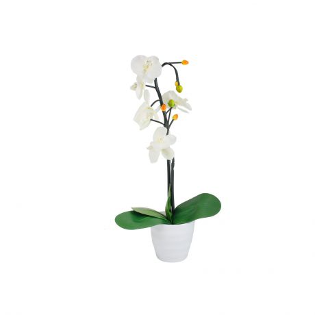 Декоративный светильник СТАРТ LED Орхидея2 белый, белый