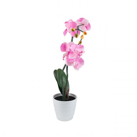 Декоративный светильник СТАРТ LED Орхидея2 розовый, розовый