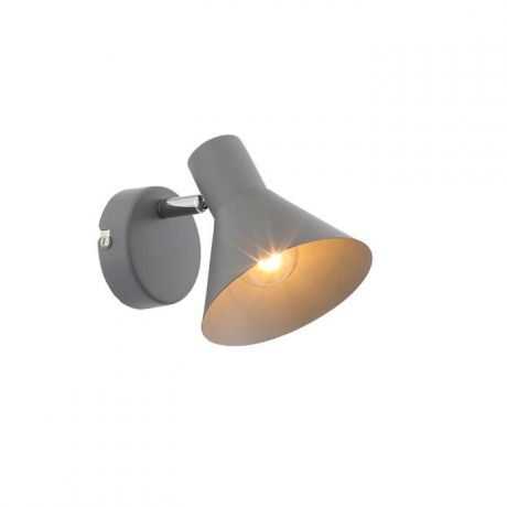 Настенно-потолочный светильник St Luce SL403.701.01, серый