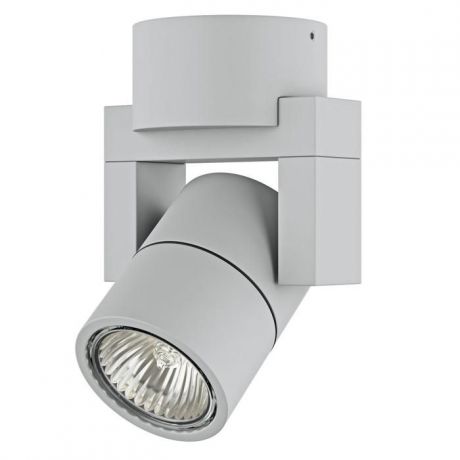 Настенно-потолочный светильник Lightstar 051040, серый