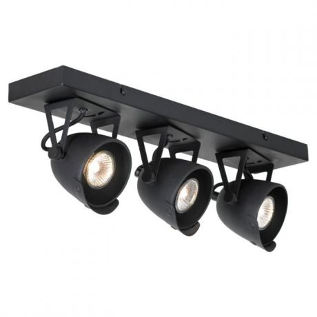 Настенно-потолочный светильник Lussole LSP-9507, черный