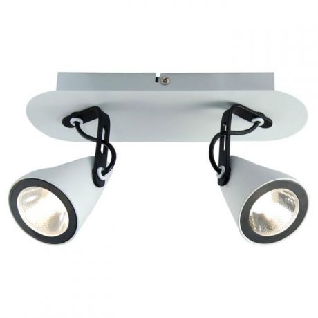 Настенно-потолочный светильник Lussole LSN-4101-02, белый