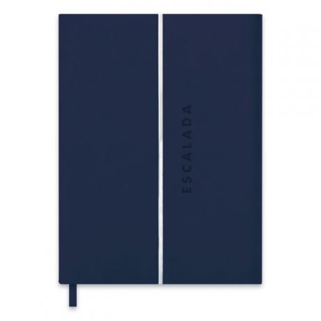 Ежедневник-органайзер недатированный Феникс+, 47401/10, 192 стр, темно-синий