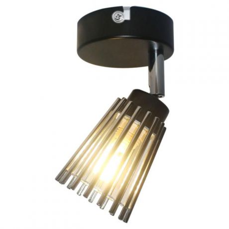 Настенно-потолочный светильник Lussole LSP-9900, черный