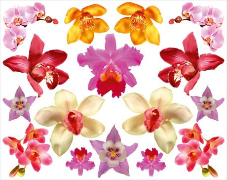 Наклейка ОранжевыйСлоник легкосъемная интерьерная "Орхидеи", Винил