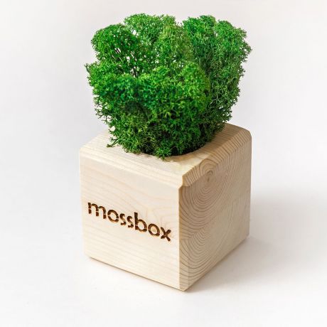Предмет интерьера Эйфорд MossBox Wooden Green Cube, MSBX-02-01