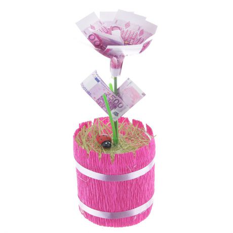 Денежный цветок "Расцвет бизнеса. Евро", цвет: ярко-розовый, зеленый, белый