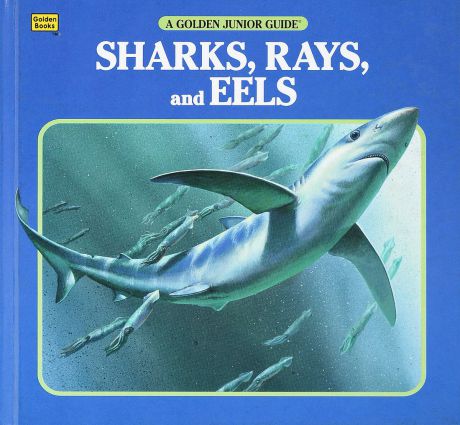 Christopher Lampton Sharks, Rays, and Eels