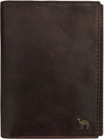 Обложка для документов мужская Dimanche "Camel", цвет: коричневый. 911/К