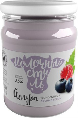 Молочный стиль Йогурт с Лесными ягодами 2,5%, 250 г