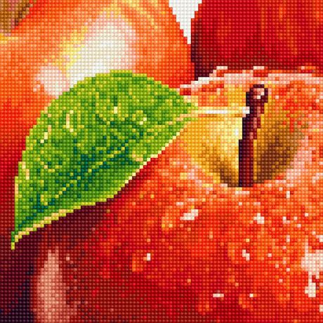 Алмазная мозаика Фрея "Спелое яблоко", ALV-4, 25 х 25 см