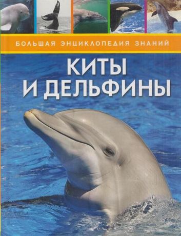 Дэвидсон С. Киты и дельфины