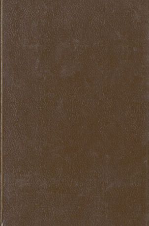 Маргарет Хиггинс, Арч Оболер Одинокая колдунья. Дом в огне