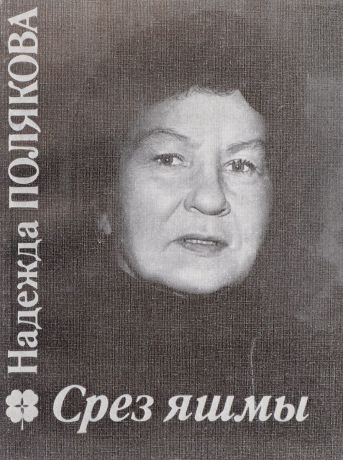 Полякова Н. Срез яшмы