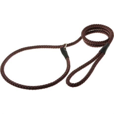 Поводок-удавка V.I.Pet "Нейлоновый канат", с кольцом, цвет: коричневый, 10 мм х 170 см