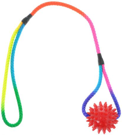 Игрушка для собак V.I.Pet "Массажный мяч", на шнуре, цвет: красный, диаметр 5,5 см