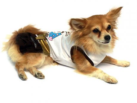 Платье для собак "Каскад", цвет: золотой, белый. Размер S