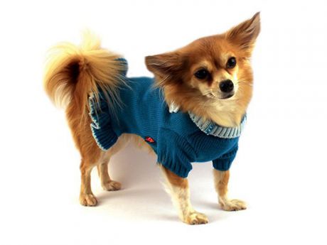 Платье для собак Каскад "Цветок", вязаное, цвет: бирюзовый. Размер XS