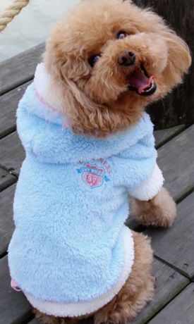 Куртка для собак "Dobaz", цвет: голубой. ДА13059СХЛ. Размер XL