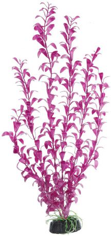 Растение для аквариума Barbus "Альтернателла лиловая", пластиковое, высота 50 см