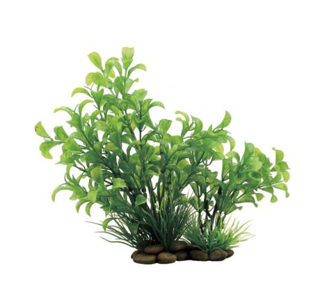 Растение для аквариума ArtUniq "Людвигия зеленая", высота 20 см