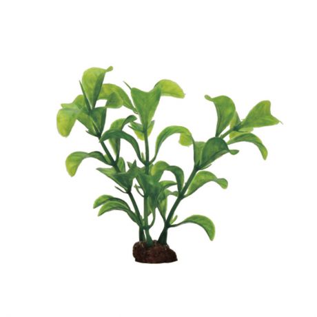 Растение для аквариума ArtUniq "Людвигия зеленая", высота 10 см, 6 шт