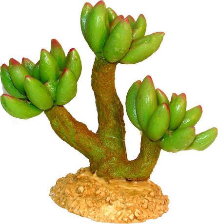 Растение для аквариума №1 "Кактус деревообразный", высота 14,3 см
