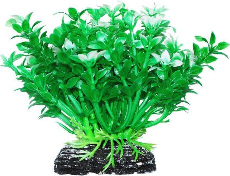 Растение для аквариума Уют "Микрантемум зелено-белый", высота 11 см