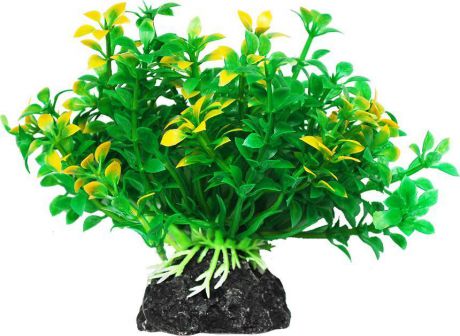 Растение для аквариума Уют "Микрантемум зелено-желтый", высота 11 см