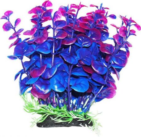 Растение для аквариума Уют "Бакопа сине-фиолетовая", высота 12 см