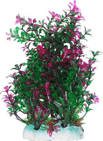 Растение для аквариума Уют "Гамфрена зелено-фиолетовая", высота 20 см
