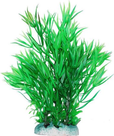 Растение для аквариума Уют "Гемиантус зеленый", высота 20 см