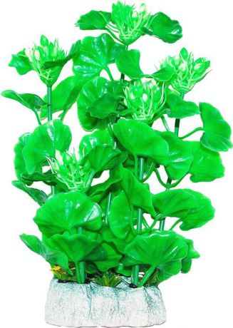 Растение для аквариума Уют "Хедизариум зеленый с бутонами", высота 24 см