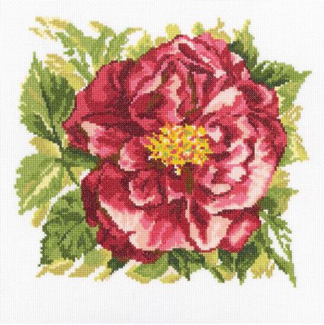 Набор для вышивания РТО Английская роза. М371